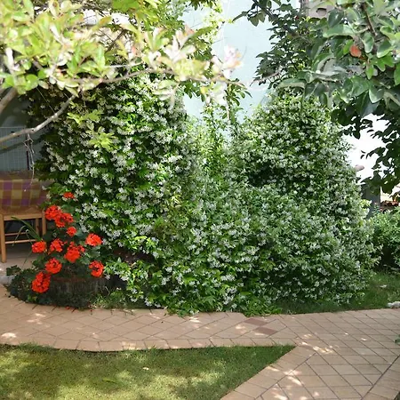 Villa Verde Budget Rooms 3* Premantura