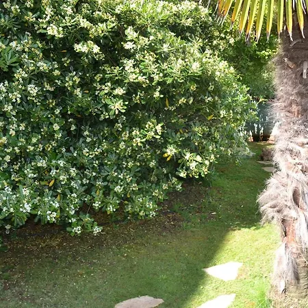 Affittacamere Villa Verde Budget Rooms Premantura