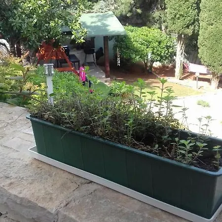Villa Verde Budget Rooms Premantura