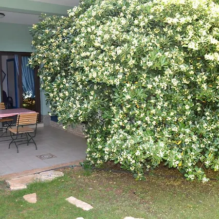 Villa Verde budget Rooms Gæstehus
