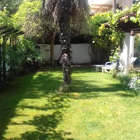 Villa Verde budget Rooms 3* Premantura