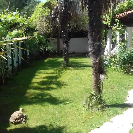Villa Verde Budget Rooms Maison d'hôtes 3*